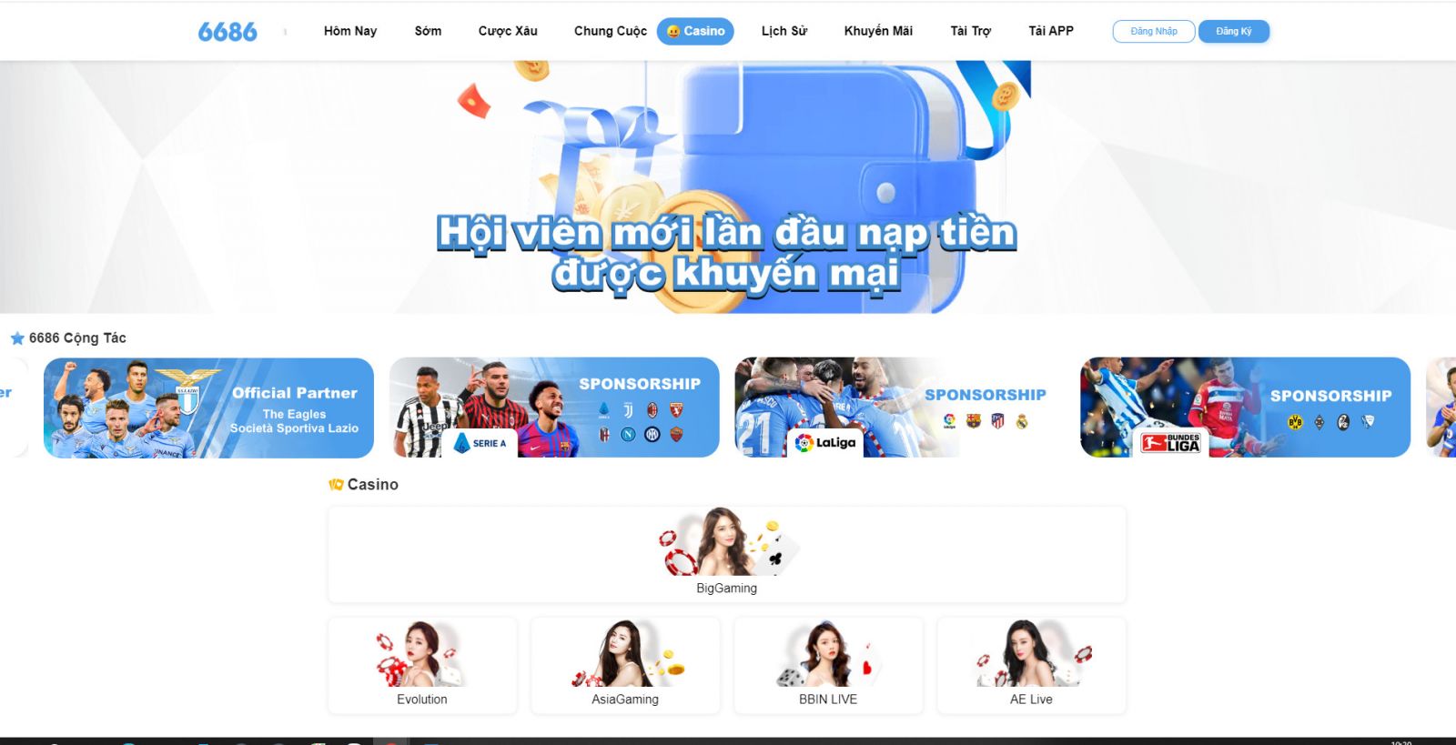 Các dịch vụ Đá gà 6686 Team tại nhà cái 6686